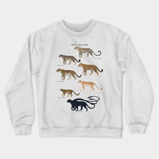 "Know your spots" spotted big cats natural history Crewneck Sweatshirt